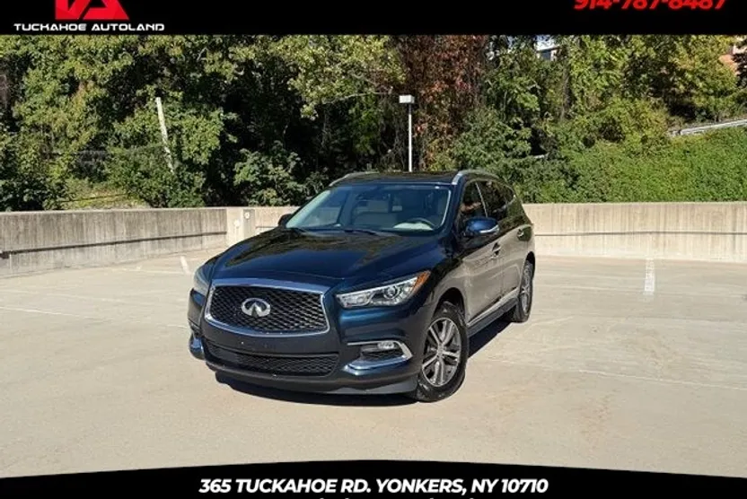2019 Infiniti QX60 Luxe photo 1