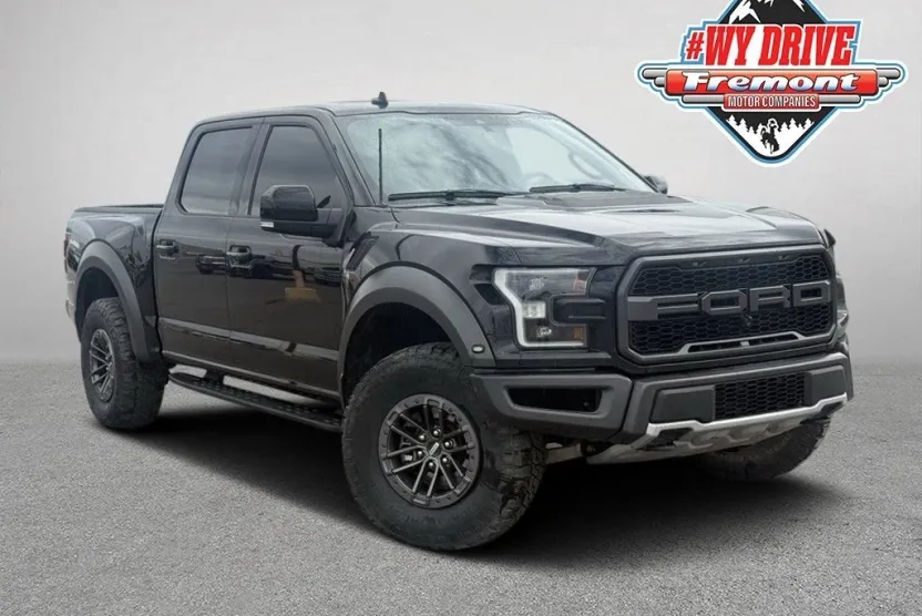 2020 Ford F-150 Raptor photo 1