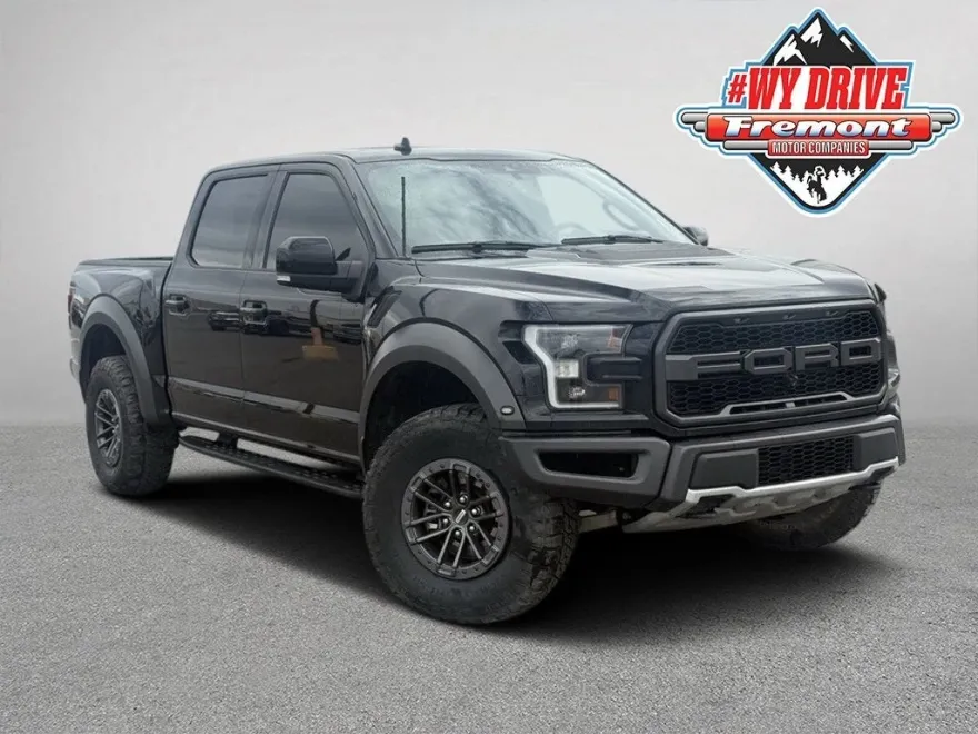 2020 Ford F-150 Raptor photo 1