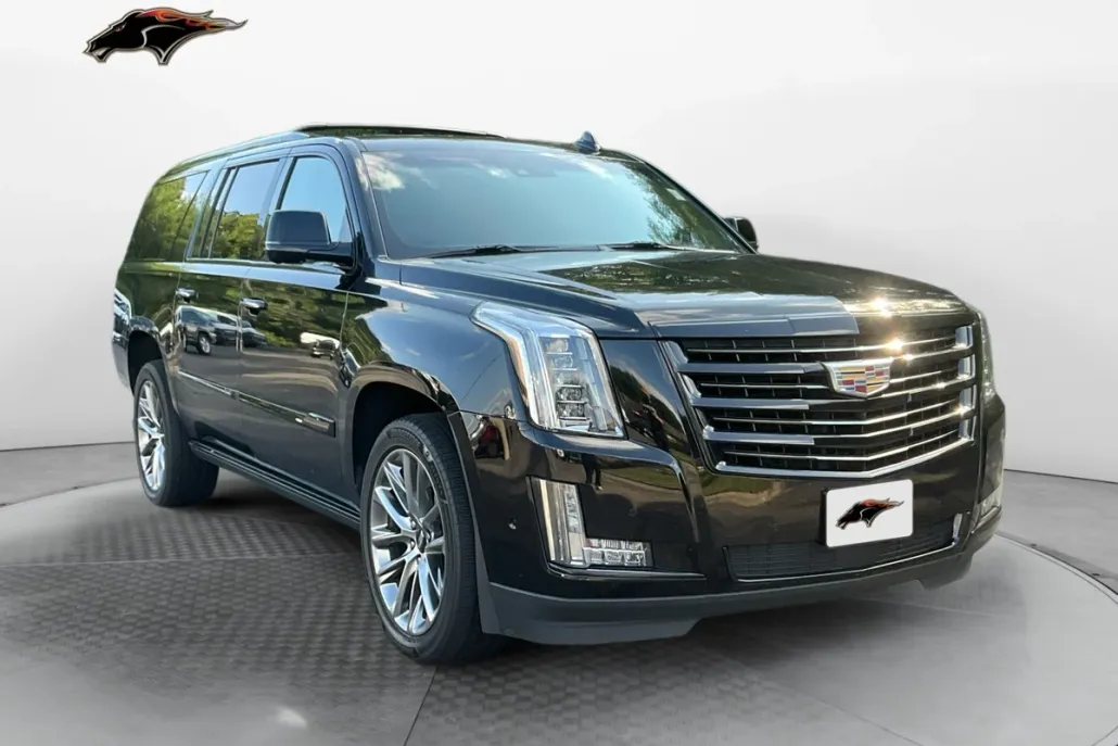2020 Cadillac Escalade ESV Platinum photo 1