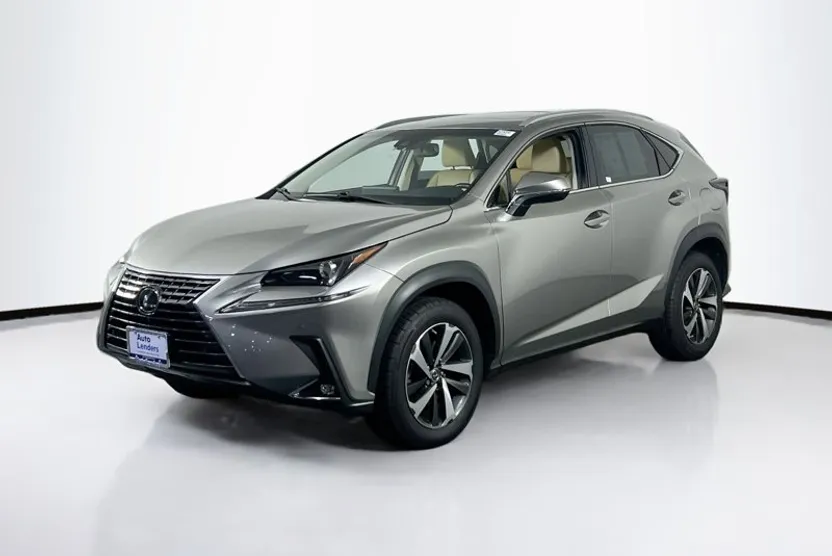 2019 Lexus NX 300 Luxury photo 1