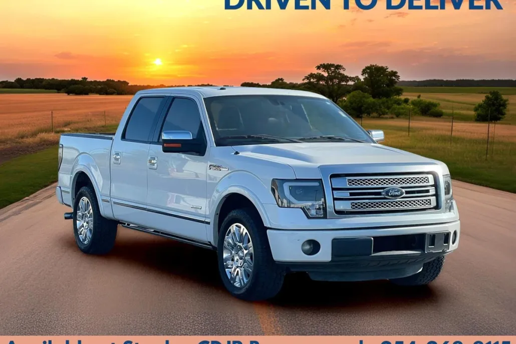 2013 Ford F-150 Platinum photo 1