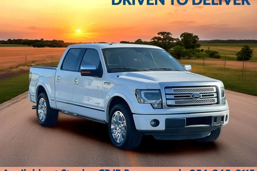 2013 Ford F-150 Platinum photo 1