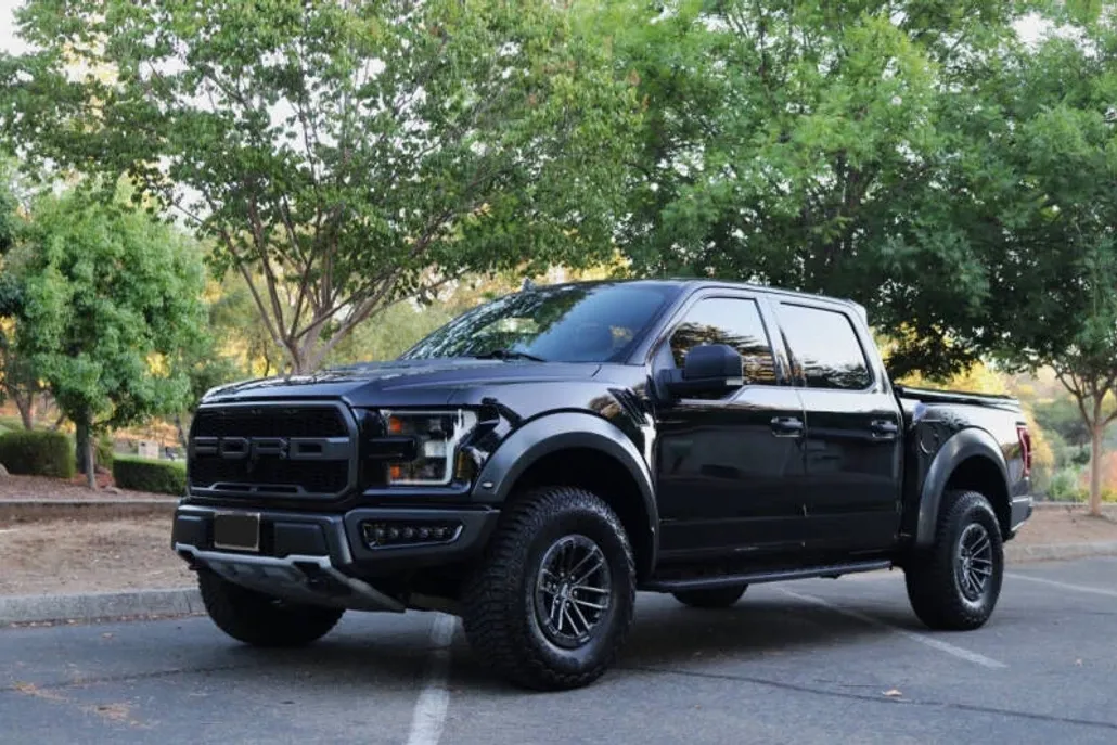 2019 Ford F-150 Raptor photo 1