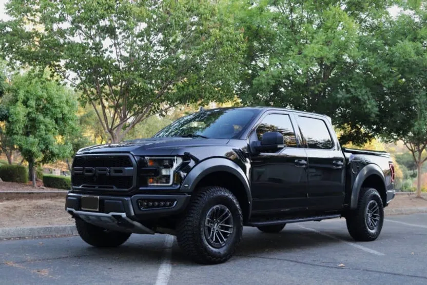 2019 Ford F-150 Raptor photo 1