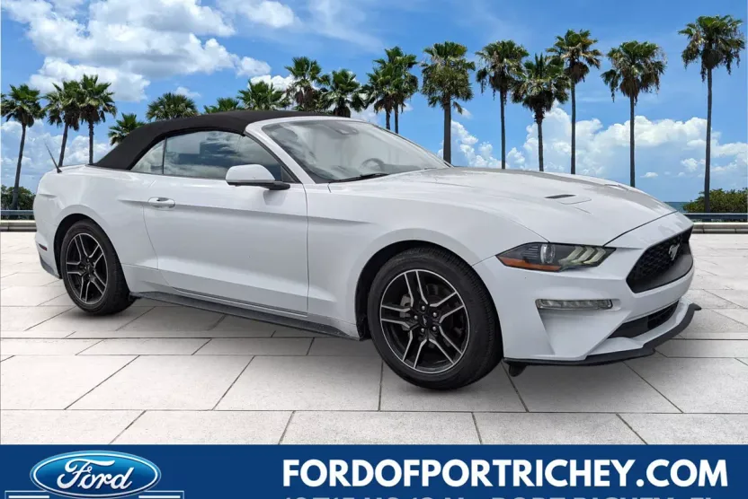 2023 Ford Mustang EcoBoost Premium photo 1