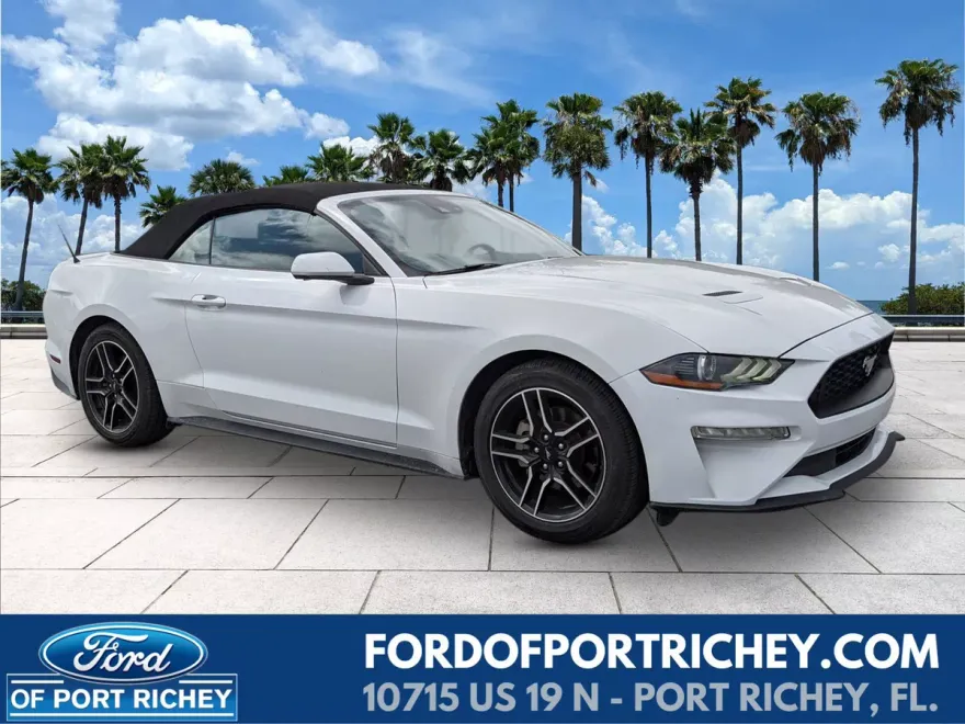 2023 Ford Mustang EcoBoost Premium photo 1