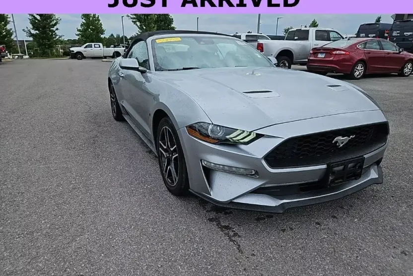 2023 Ford Mustang EcoBoost Premium Convertible photo 1