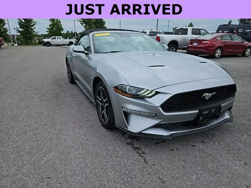 2023 Ford Mustang EcoBoost Premium Convertible photo 1