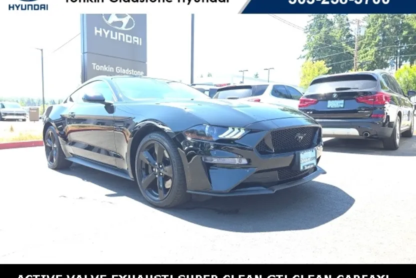 2021 Ford Mustang GT photo 1