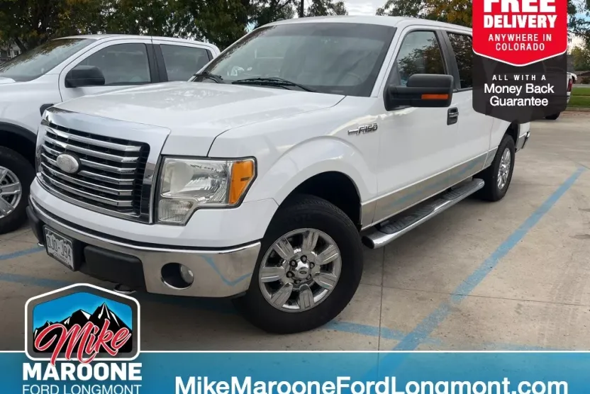 2010 Ford F-150 photo 1