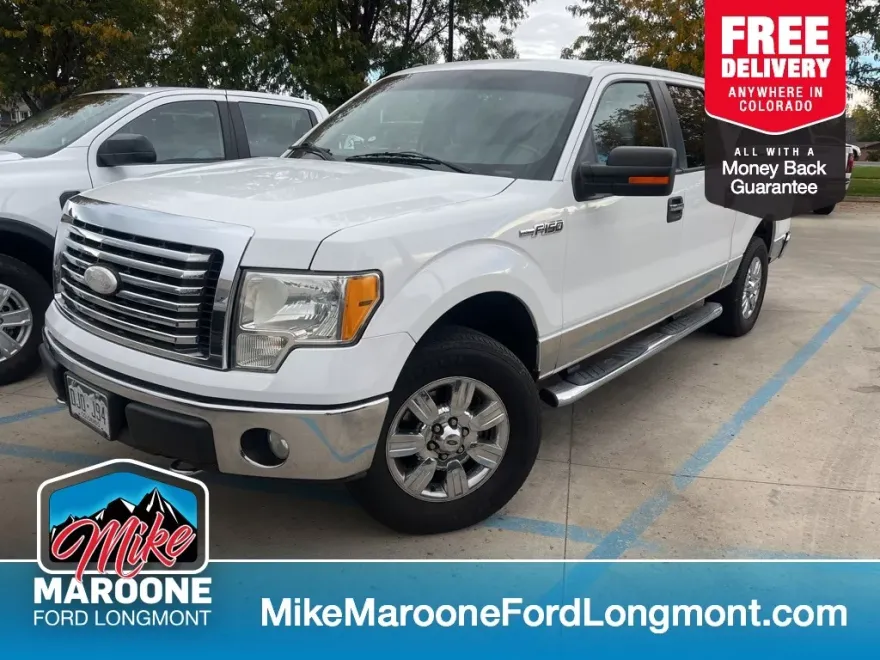 2010 Ford F-150 photo 1