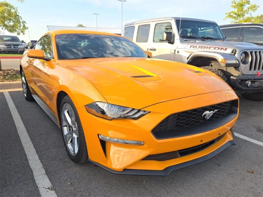 2019 Ford Mustang EcoBoost photo 1
