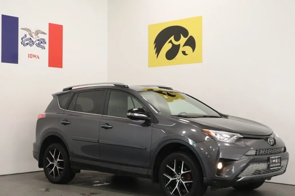 2017 Toyota RAV4 SE photo 1