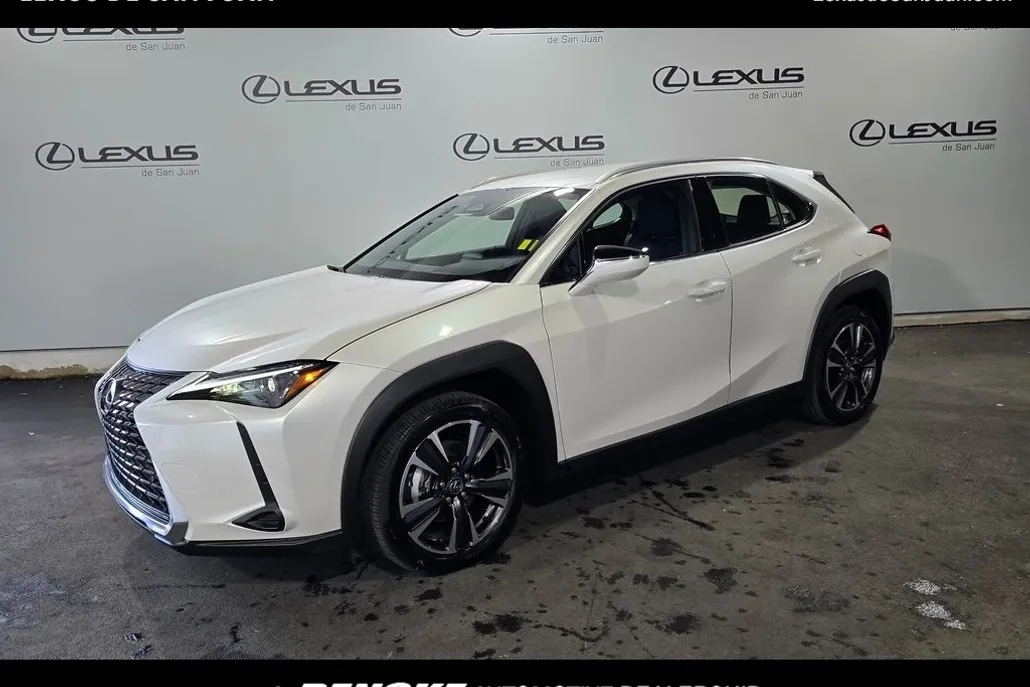 2025 Lexus UX photo 1