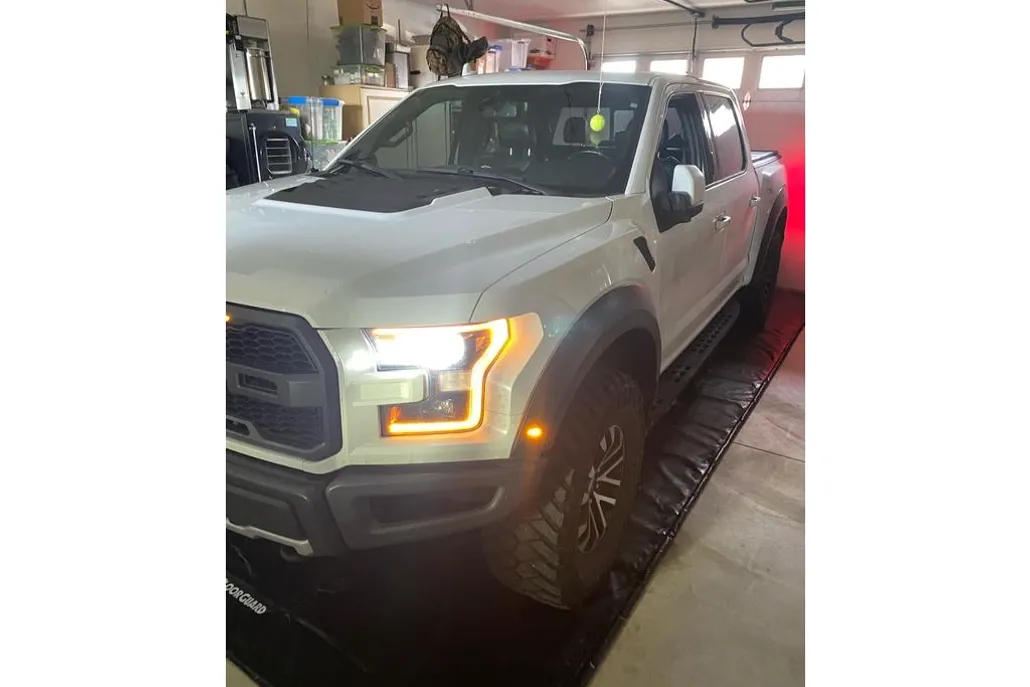 2020 Ford F-150 Raptor photo 1