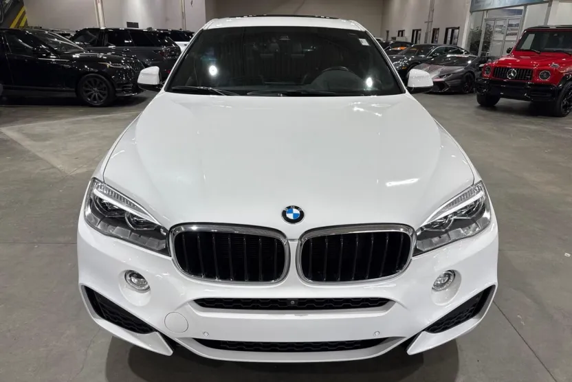 2019 Bmw X6 xDrive35i M photo 1