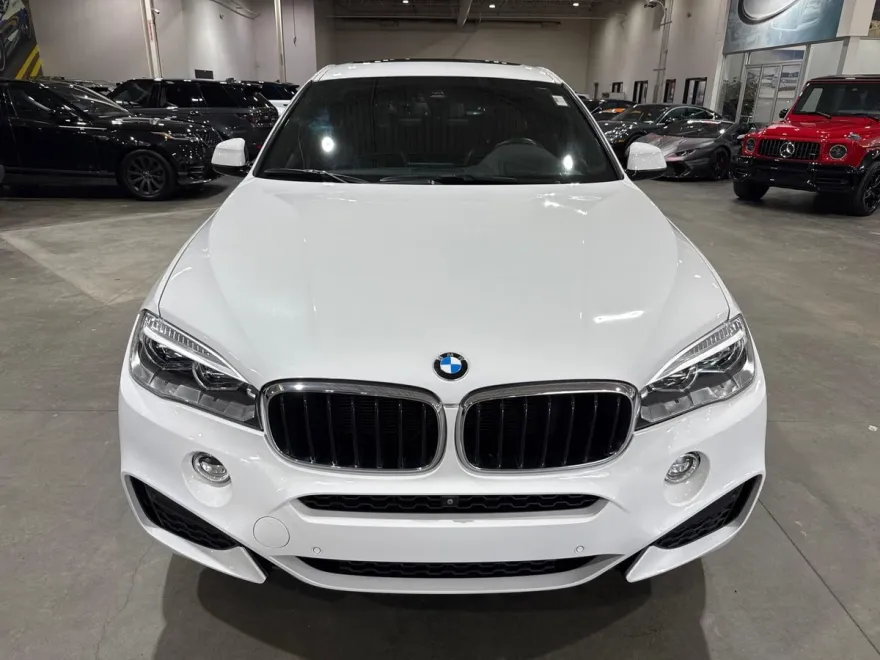 2019 Bmw X6 xDrive35i M photo 1