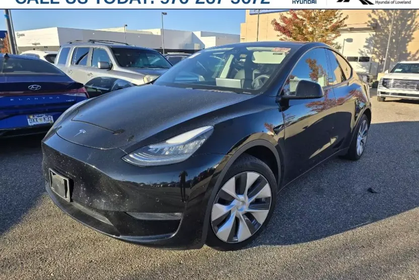 2020 Tesla Model Y Long Range photo 1
