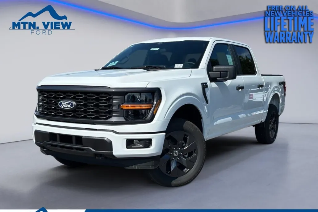 2025 Ford F-150 STX photo 1