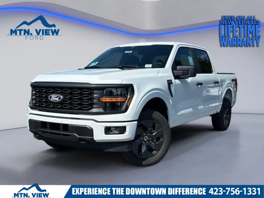 2025 Ford F-150 STX photo 1