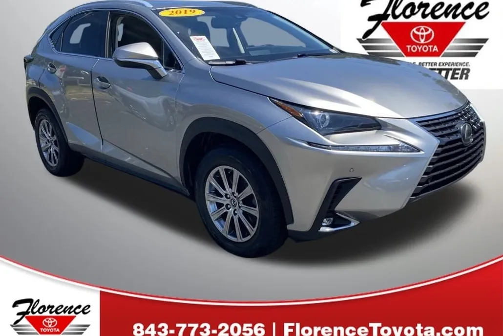 2019 Lexus NX 300 Luxury photo 1