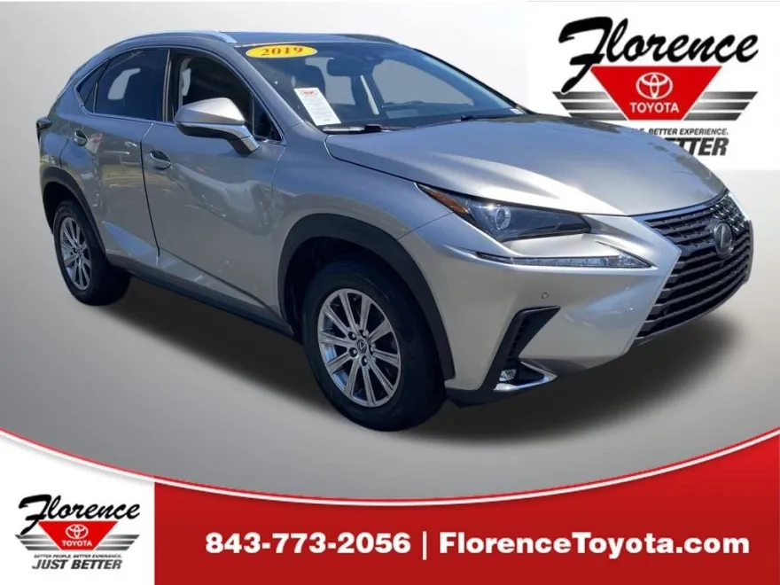 2019 Lexus NX 300 Luxury photo 1