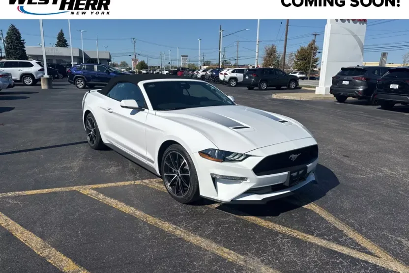 2022 Ford Mustang EcoBoost Premium photo 1