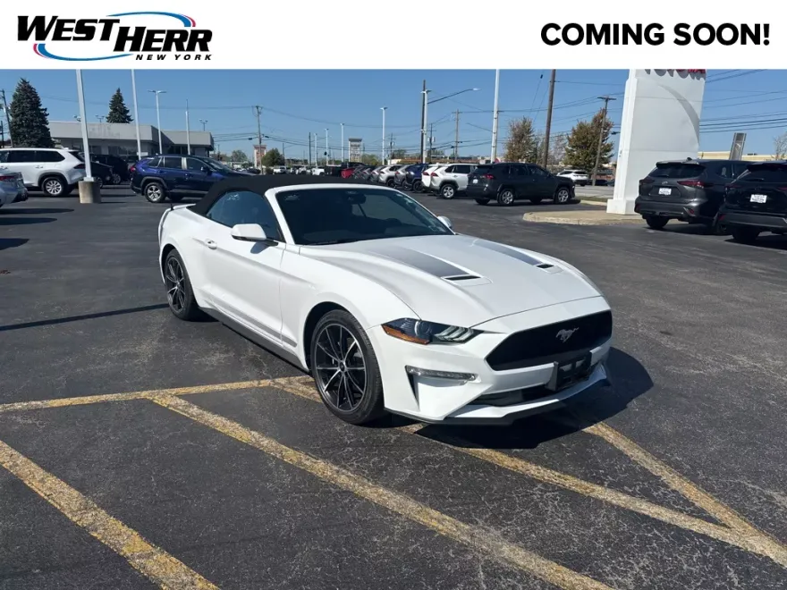 2022 Ford Mustang EcoBoost Premium photo 1