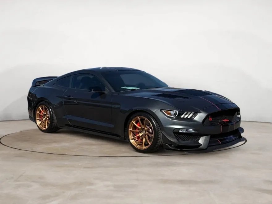 2019 Ford Mustang Shelby GT350 R photo 1