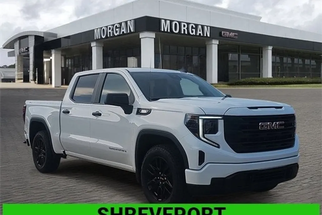 2025 Gmc Sierra 1500 Pro photo 1