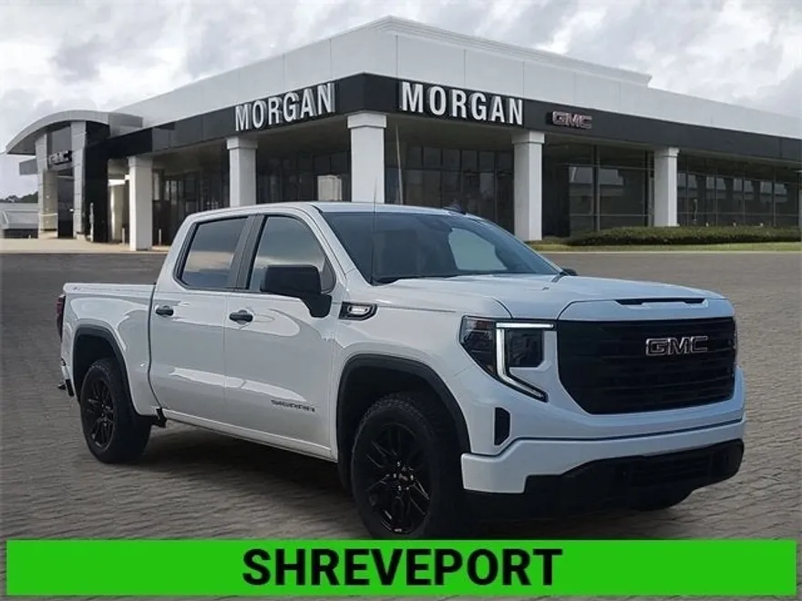 2025 Gmc Sierra 1500 Pro photo 1