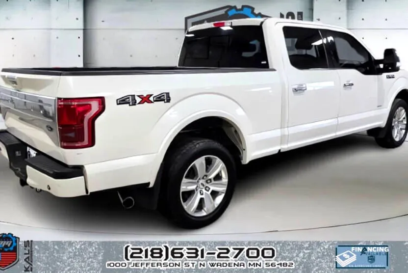 2015 Ford F-150 Platinum photo 1