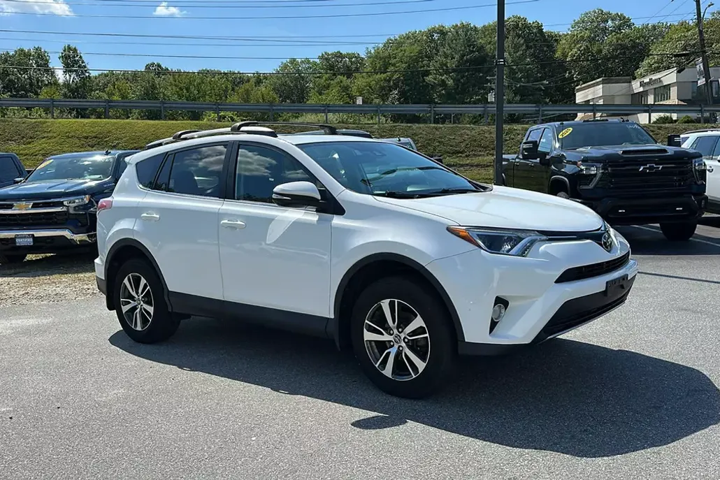 2018 Toyota RAV4 XLE photo 1