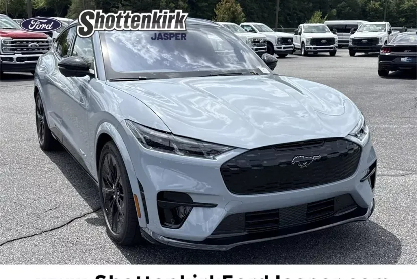 2025 Ford Mustang Mach-E GT photo 1