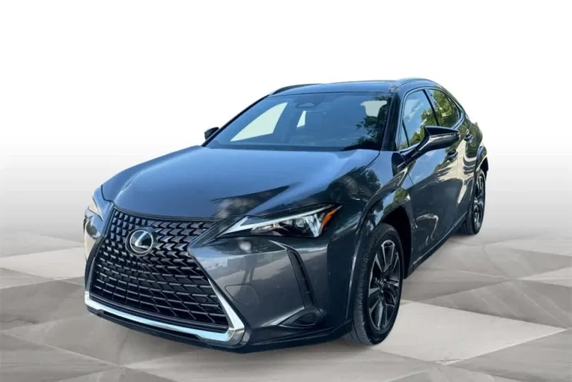 2025 Lexus UX Premium photo 1