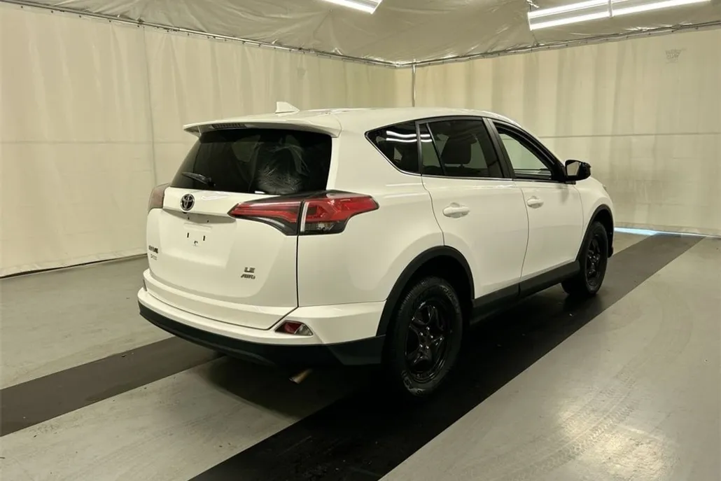 2018 Toyota RAV4 LE photo 1