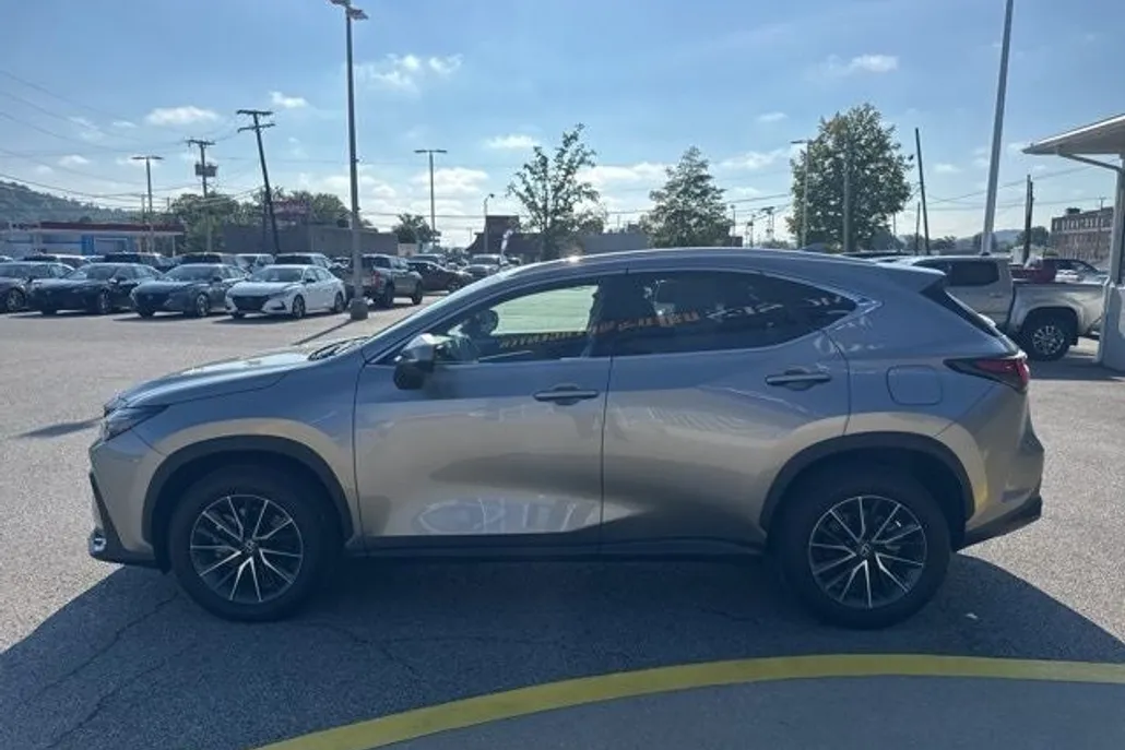 2024 Lexus NX 350 Premium photo 1