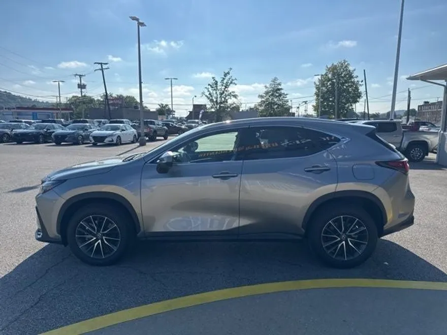 2024 Lexus NX 350 Premium photo 1