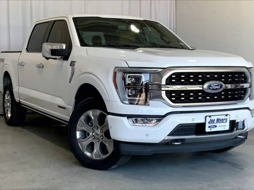 2021 Ford F-150 Platinum photo 1