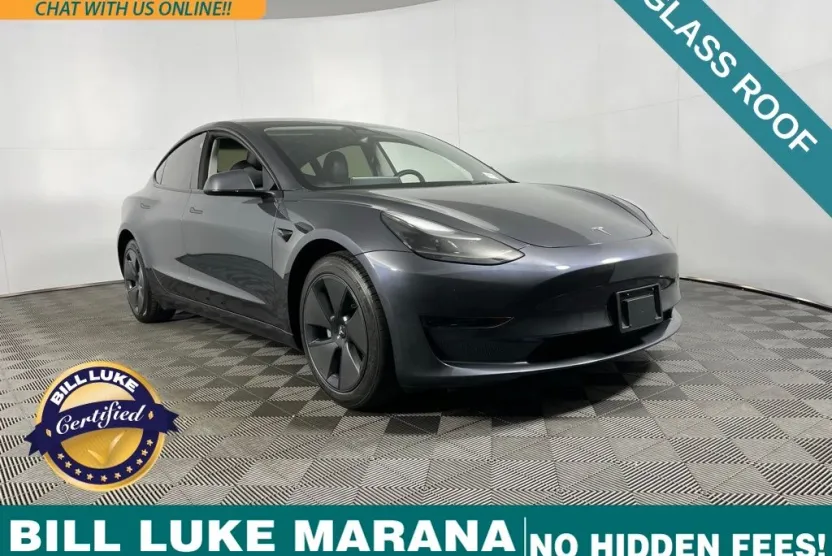 2023 Tesla Model 3 photo 1