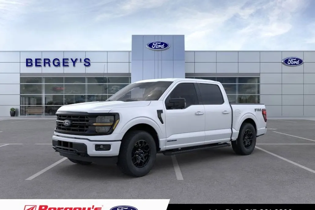 2025 Ford F-150 XLT photo 1