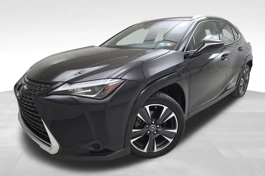 2022 Lexus UX 250h photo 1