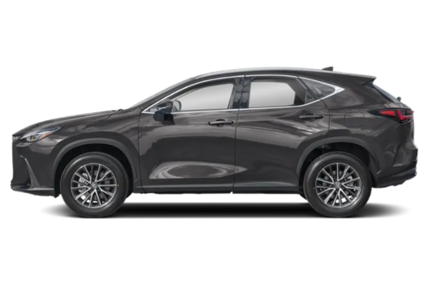 2025 Lexus NX 250 Premium photo 1