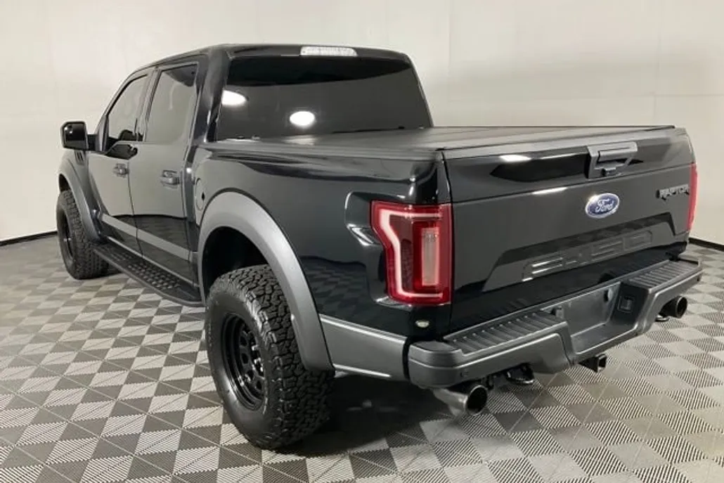 2019 Ford F-150 Raptor photo 1