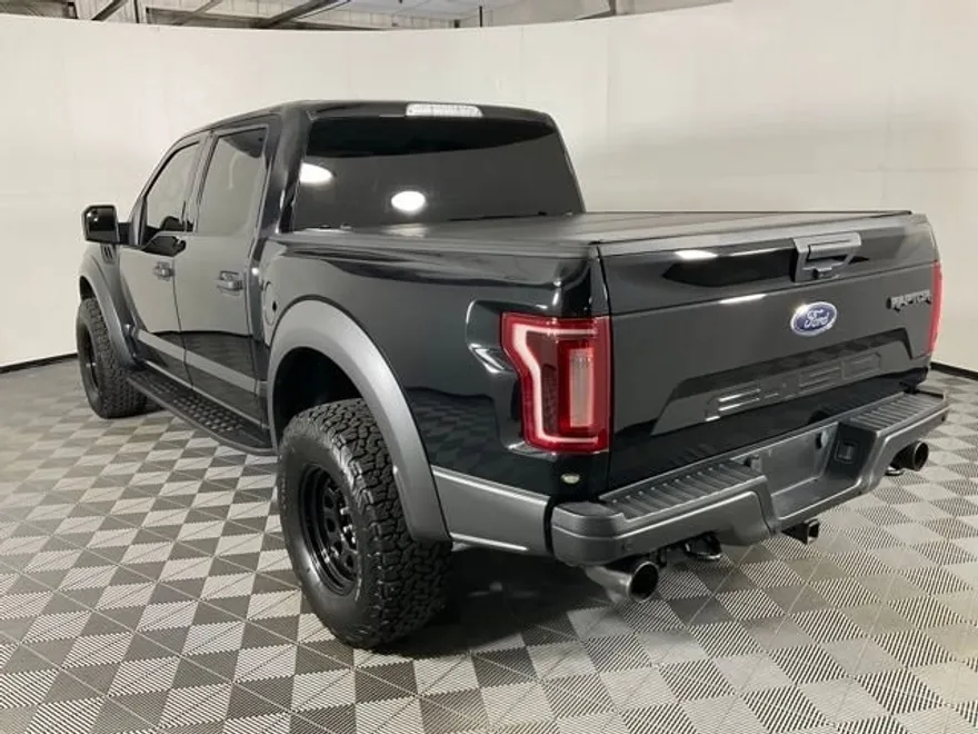 2019 Ford F-150 Raptor photo 1