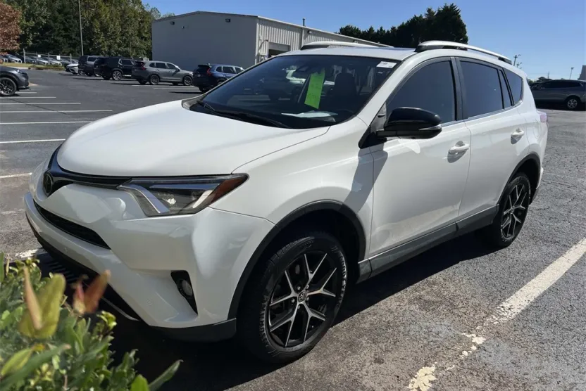 2018 Toyota RAV4 SE photo 1