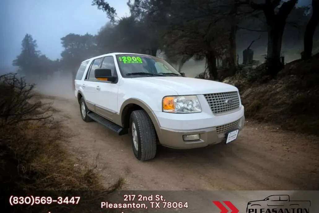 2003 Ford Expedition Eddie Bauer photo 1