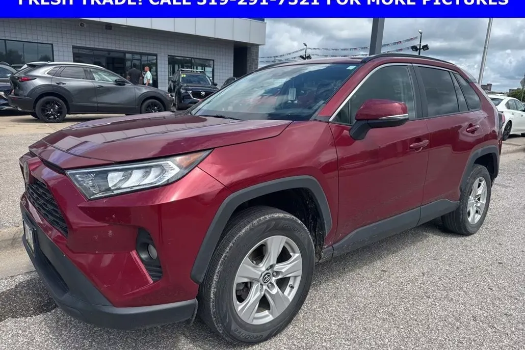 2019 Toyota RAV4 XLE photo 1