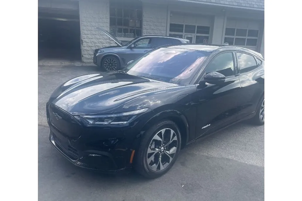 2021 Ford Mustang Mach-E Premium photo 1